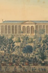 Gezicht op de oranjerie, de warme kassen en een deel van de Plantentuin van de stad Gent 